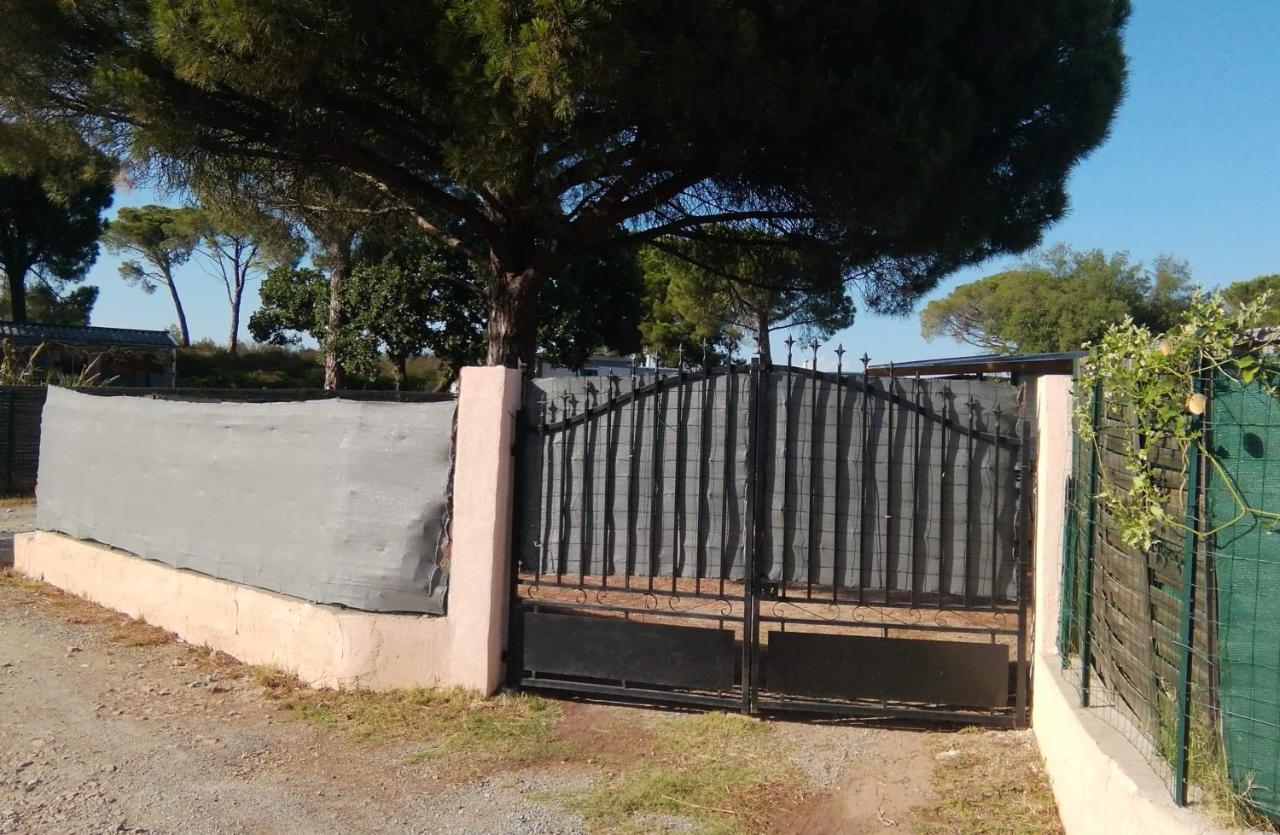 Vacances Mobilhome à Sur Terrain Privé * Fréjus